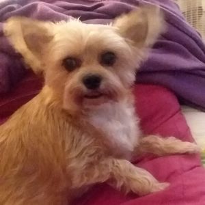 Meet your Posher, Phil